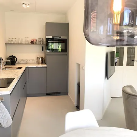 Dom wakacyjny De Kastanje 5-persoons Met Overdekte Lounge En Hottub, Barrelsauna, Stoomsauna, Ligbad, Sunshower, Wifi *