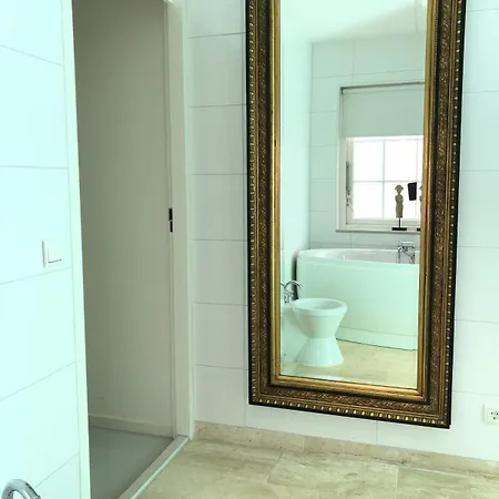 Casa vacanze De Kastanje 5-persoons Met Overdekte Lounge En Hottub, Barrelsauna, Stoomsauna, Ligbad, Sunshower, Wifi