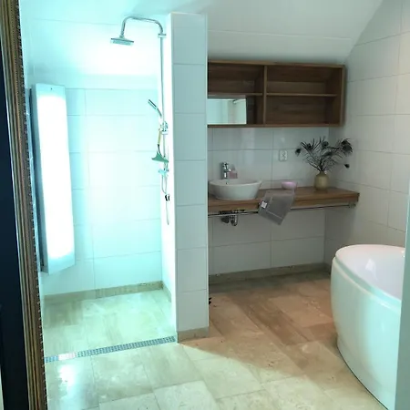 Holiday home De Kastanje 5-persoons Met Overdekte Lounge En Hottub, Barrelsauna, Stoomsauna, Ligbad, Sunshower, Wifi