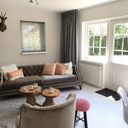 Dom wakacyjny De Kastanje 5-persoons Met Overdekte Lounge En Hottub, Barrelsauna, Stoomsauna, Ligbad, Sunshower, Wifi Lievelde