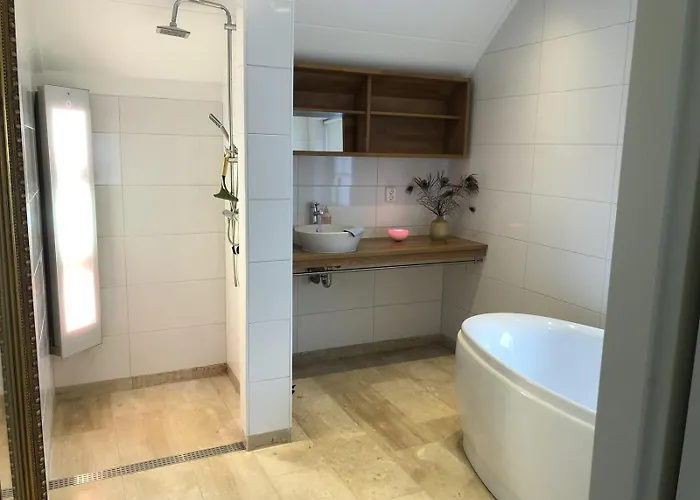 De Kastanje 5-persoons Met Overdekte Lounge En Hottub, Barrelsauna, Stoomsauna, Ligbad, Sunshower, Wifi Lievelde