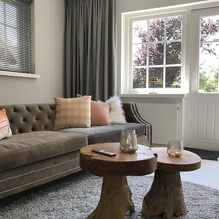 De Kastanje 5-persoons Met Overdekte Lounge En Hottub, Barrelsauna, Stoomsauna, Ligbad, Sunshower, Wifi Lievelde