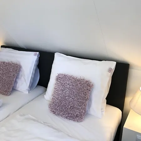 Holiday home De Kastanje 5-persoons Met Overdekte Lounge En Hottub, Barrelsauna, Stoomsauna, Ligbad, Sunshower, Wifi